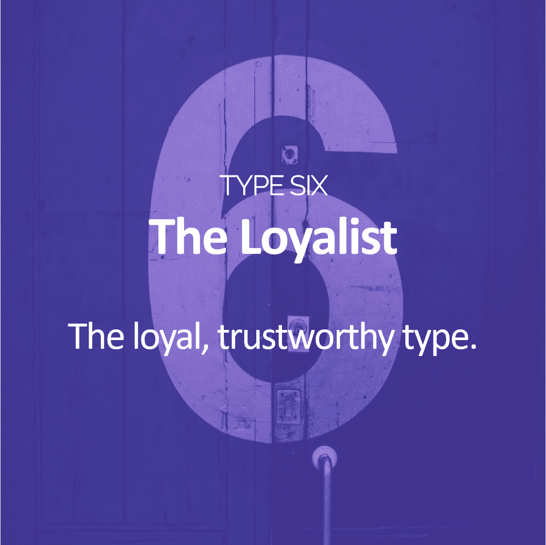 Type 6-The Loyalist